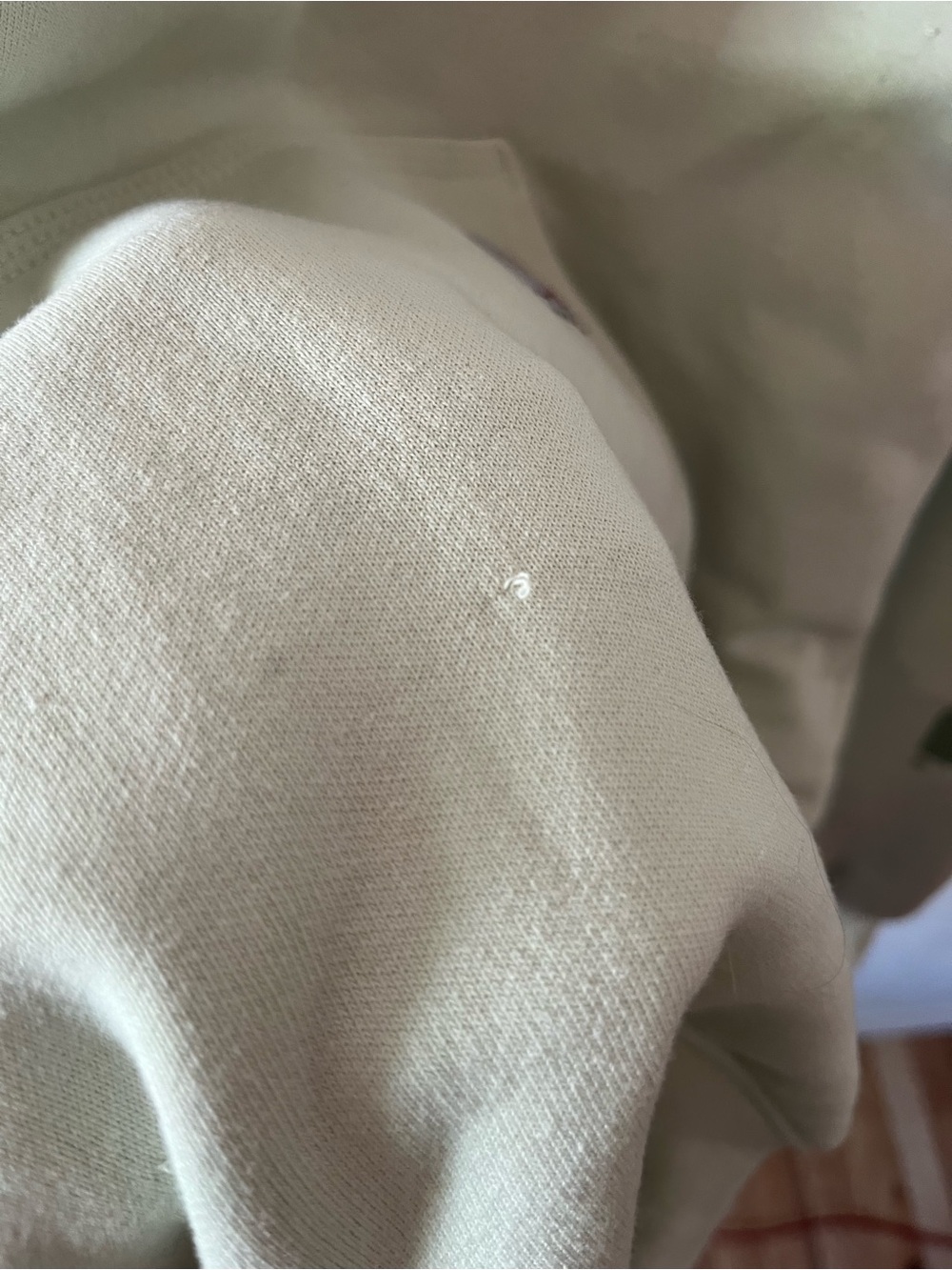 Carhartt Hooded Sweatshirt in Pale Green - Picture 3 of 5
